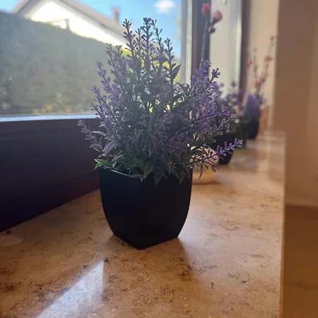 Erdgeschosszauber Freudenstadt