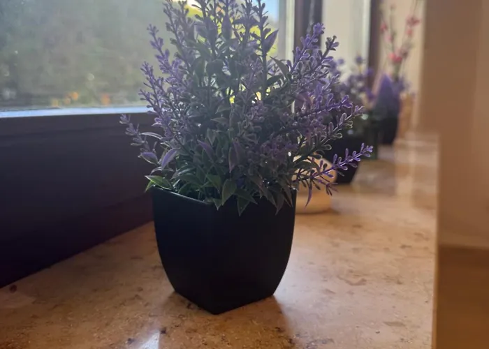 Erdgeschosszauber Φρόιντενσταντ